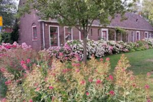 Durmiendo en casa de Jesse