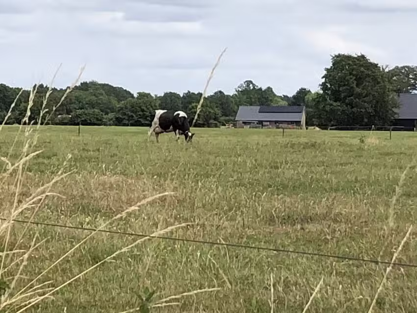 Snooze and Snore B&B