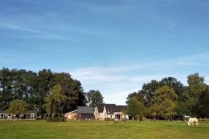 Establo El Arroyo Perdido