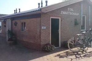 Stall Schwarzes Schaf