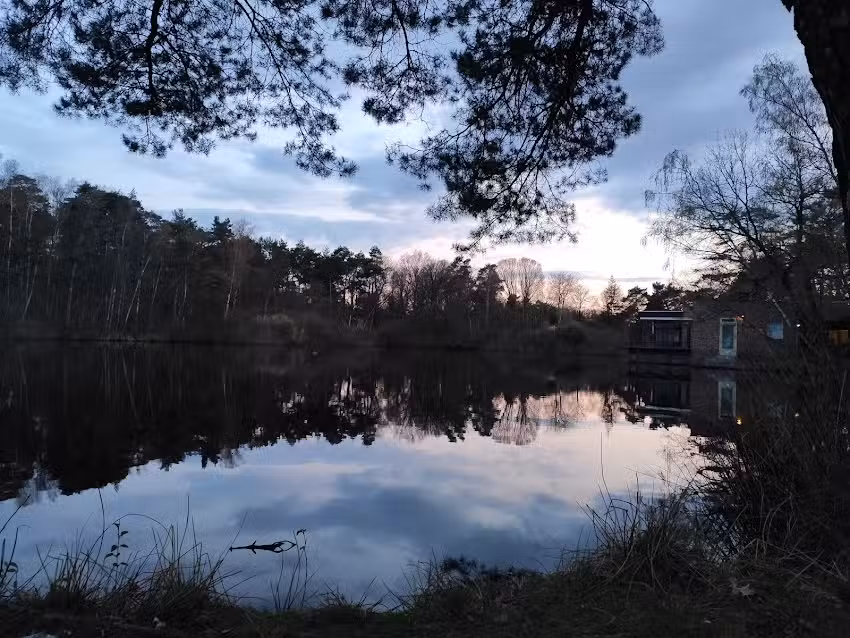 La Fundación Wolders Ven