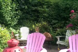 Stores Cats Investments B.V.