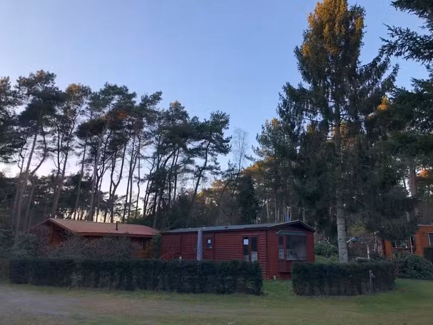 la maison de la forêt