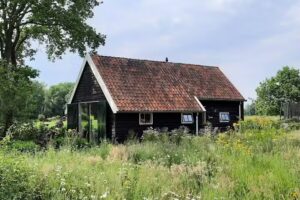 Das hübsche Haus auf der Wiese