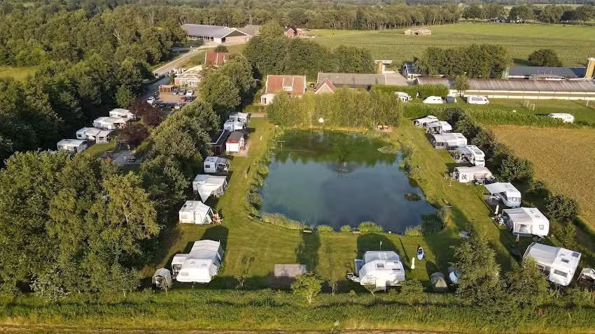L&rsquo;éleveur de poulets
