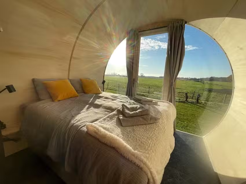 La mésange charbonnière