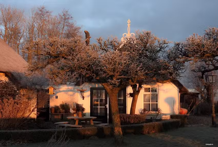 La Petite Maison Blanche