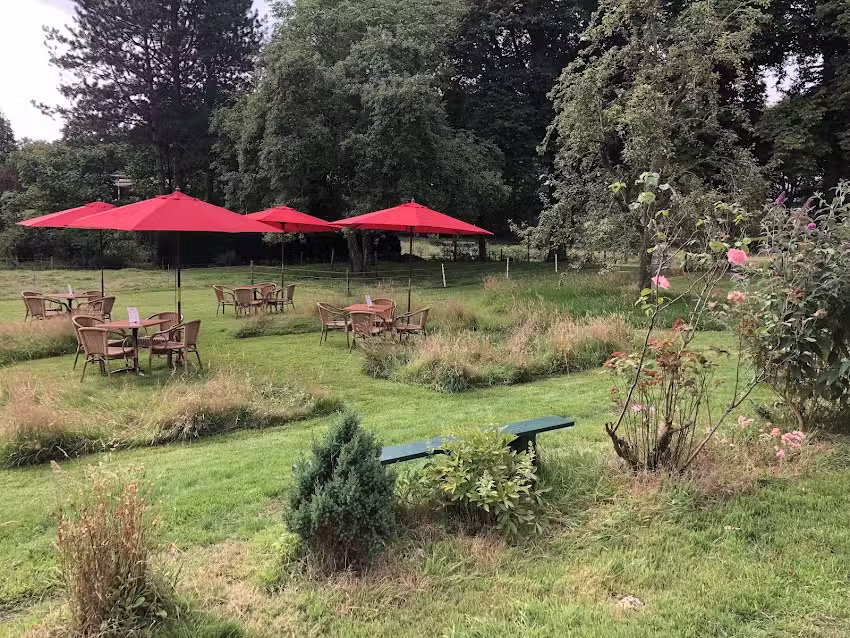 Tea garden and B&B Loodiep