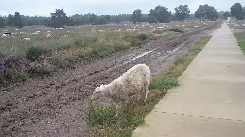 Todo Le Roux Otterlo