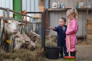 Urlaub bei Bauer Dekker