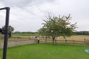 Holiday farm T’ Bakhuus