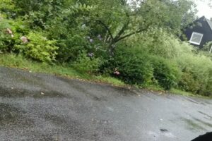 Ferienhaus Boijl Friesland