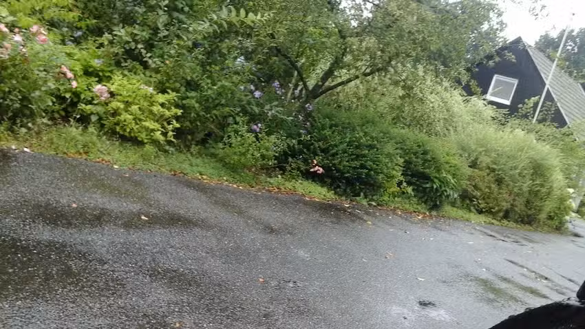 Maison de vacances Boijl Friesland