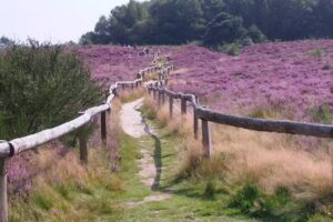 Holiday home Bungalow Drenthe – Hermelijn