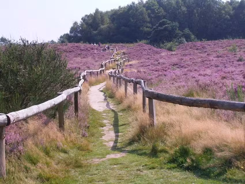 Maison de vacances Bungalow Drenthe – Hermelijn
