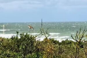 Holiday home Domburg