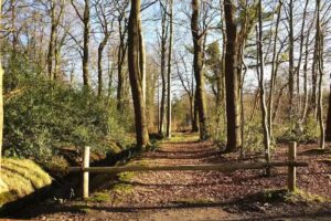 Vakantiehuis op landgoed De Braak
