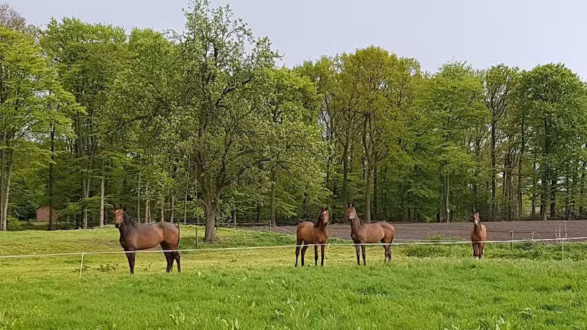 Casa de vacaciones ‘Op Vlaskamp’