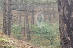 Vakantiehuis Strandgroet