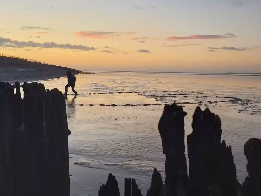 Holiday home Wadlicht Friesland