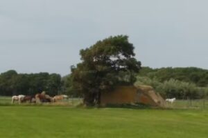 Casa de vacaciones Egmond