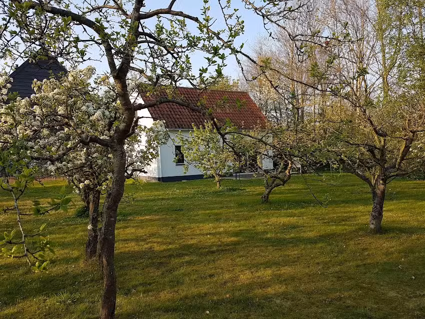 Vakantiehuisje in Ouddorp