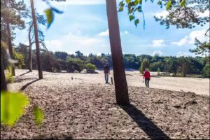 Parc de vacances Herperduin