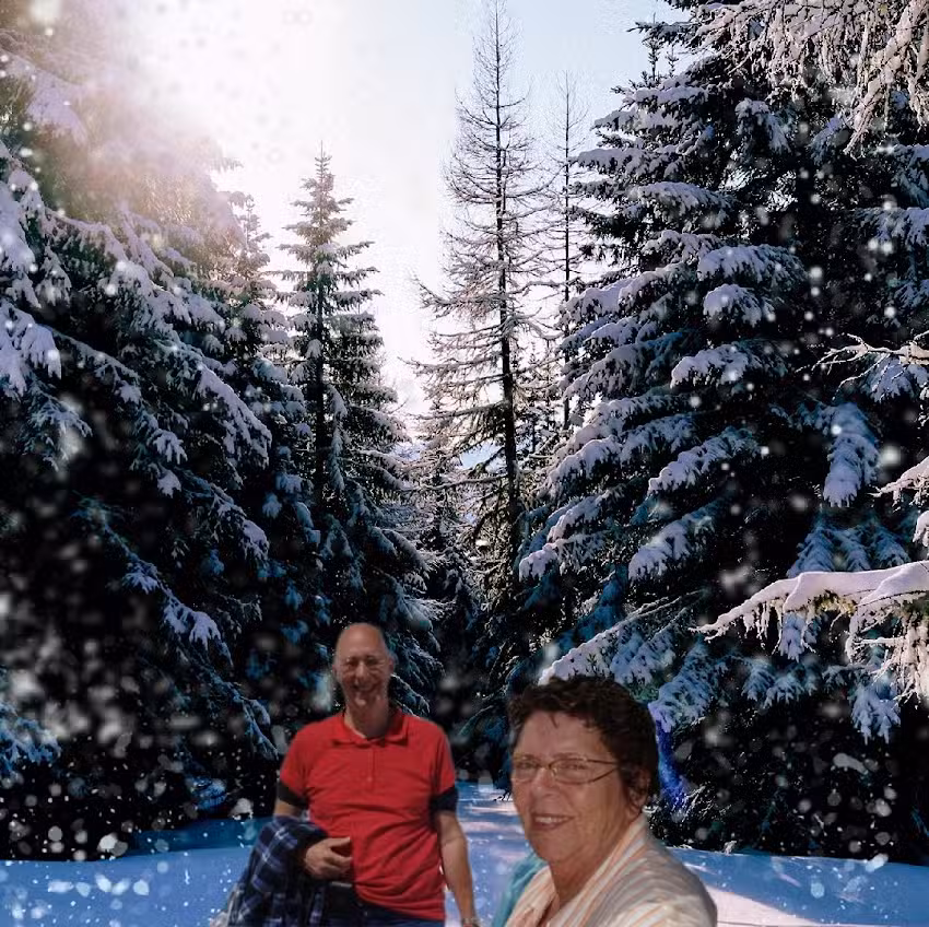 Parque de vacaciones Drentse Wold 4