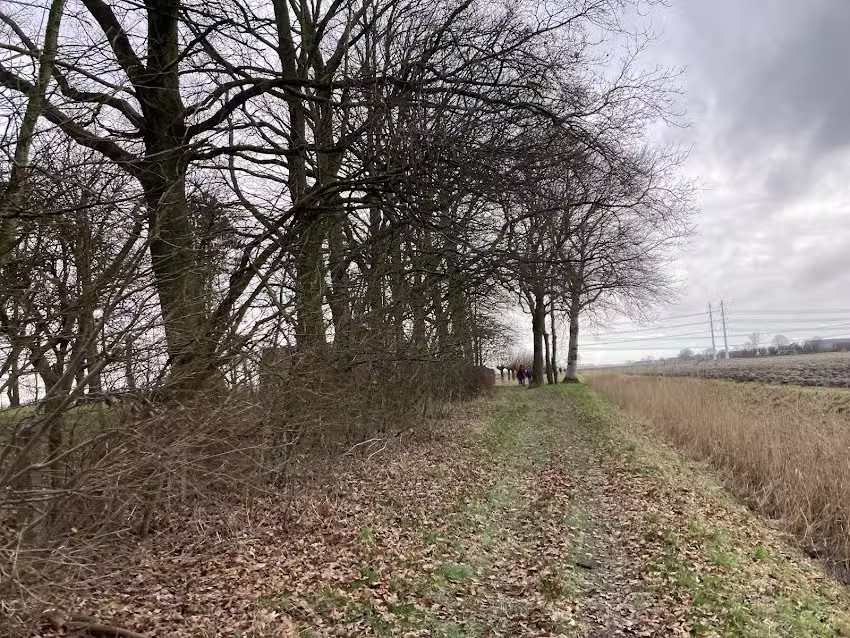 Holiday home “De Haas”