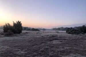 Ferienhaus Het Gastenhoes