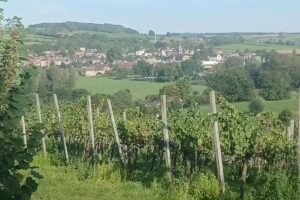 Holiday homes De Vijfbundershof in Wijlre