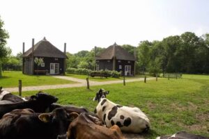 Reggehooibergen-Vereinigung