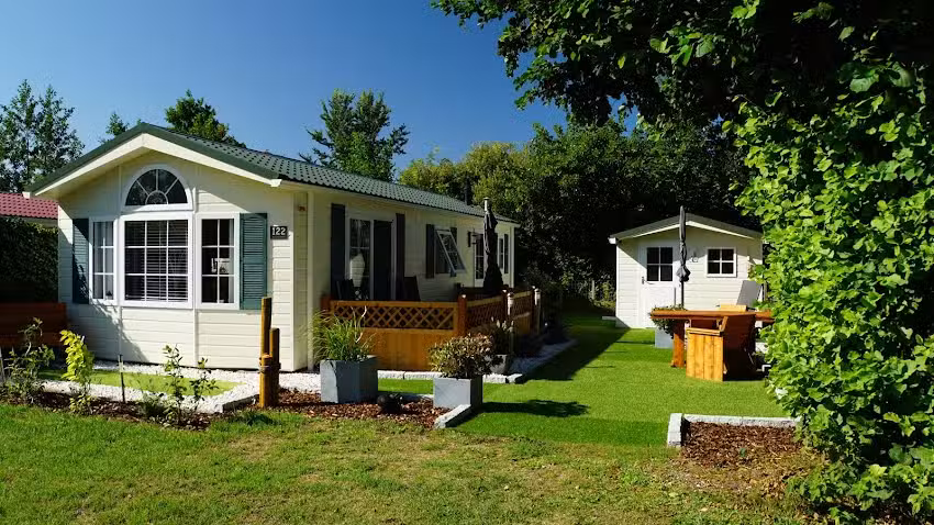 Vier Pfoten auf Texel