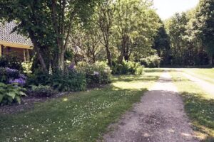 Vledderstee – Bed & Breakfast