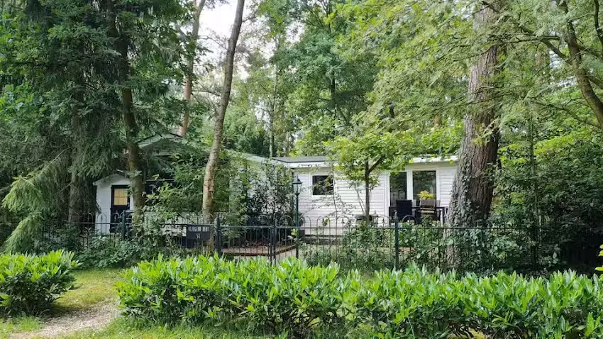 Vliegend Hert | Veluws Natuurhuisje