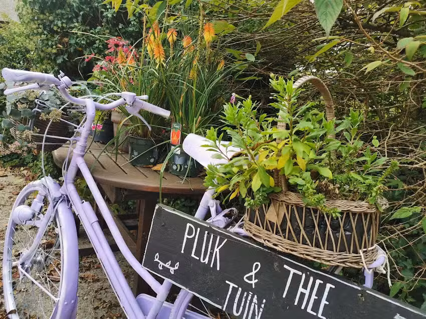 Vredebest „pluk&thee tún“ und Gästehaus