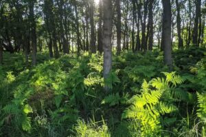 Waternet Op ’t Heuveltje