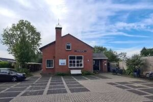 Actividades en la naturaleza para la agachadiza común