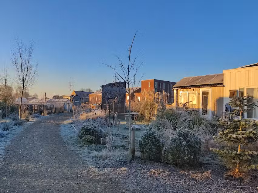 Bienvenido a Duinvallei, el barrio de quienes hacen realidad sus ideas.