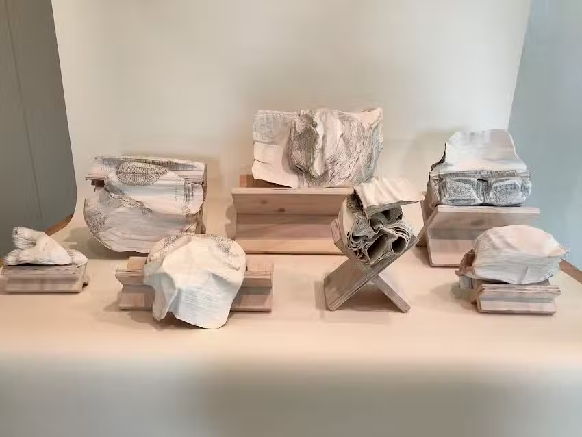 Bienestar De Meierij