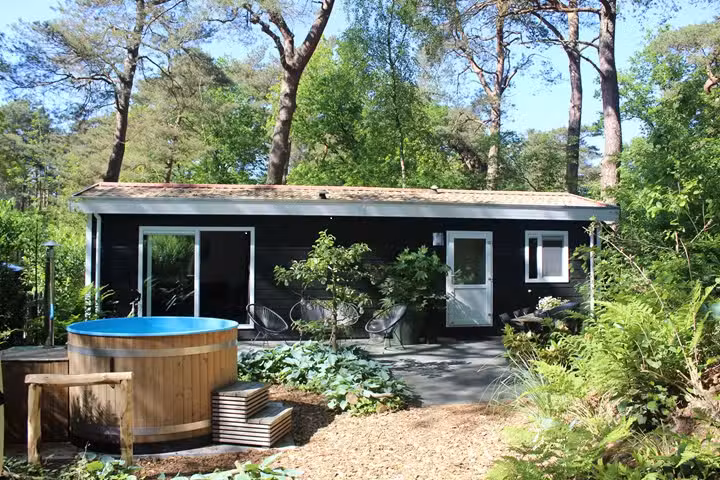 Bien-être en forêt