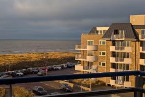 Étoile de mer Flat_117