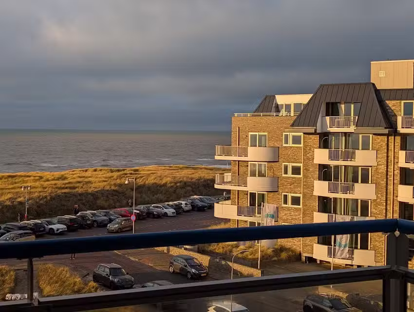 Étoile de mer Flat_117