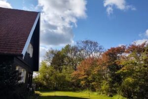 Zonnehuis Bed By The Sea Adult Only