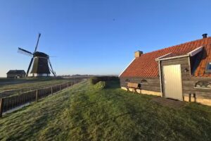 ZoWad | Texel