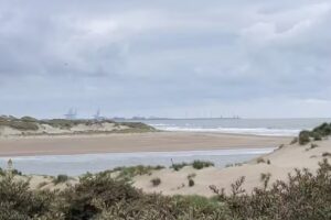 Zwinlodge & Zwinchalets